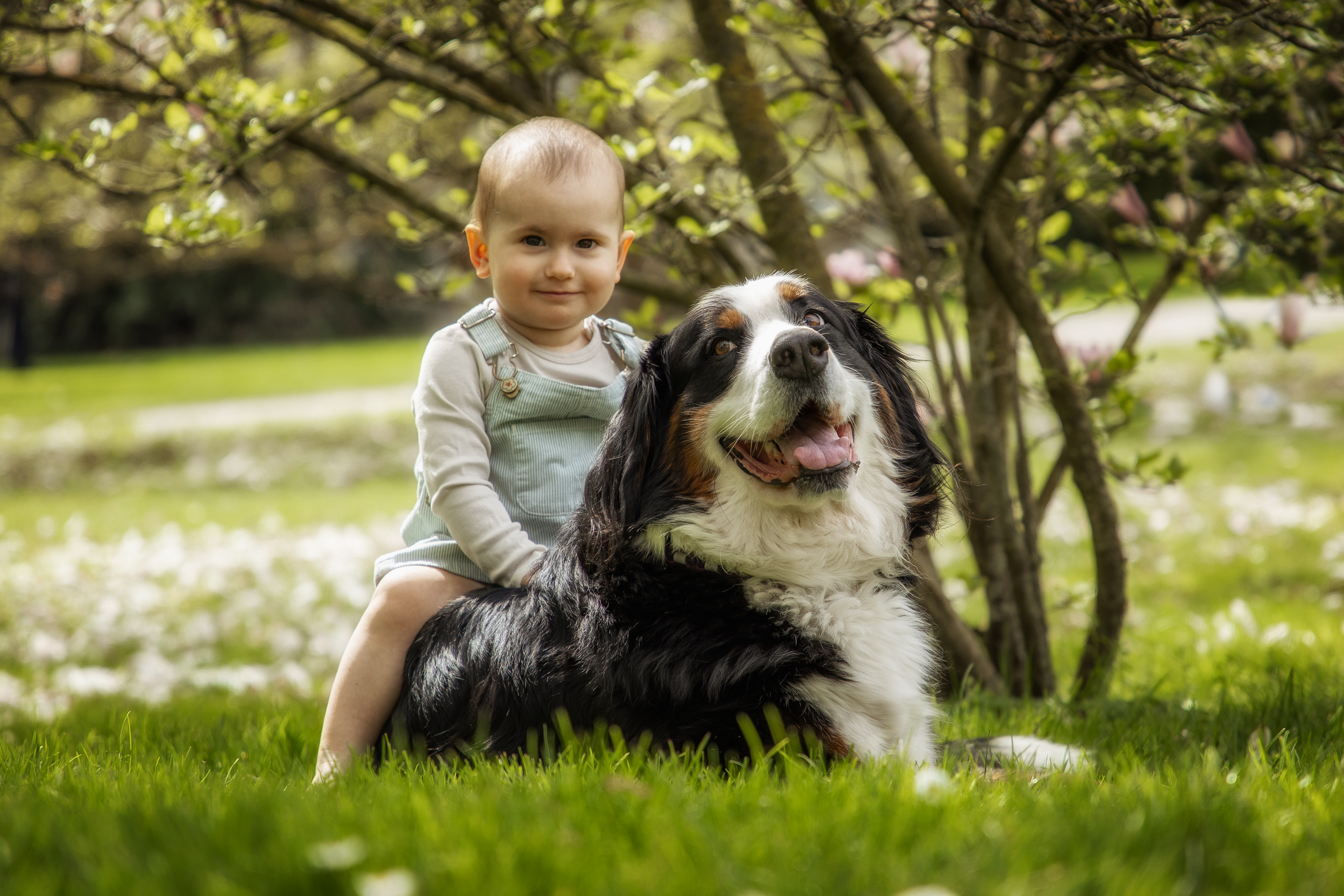 Familienfotos mit Hund Botanischer Garten Hohenheim