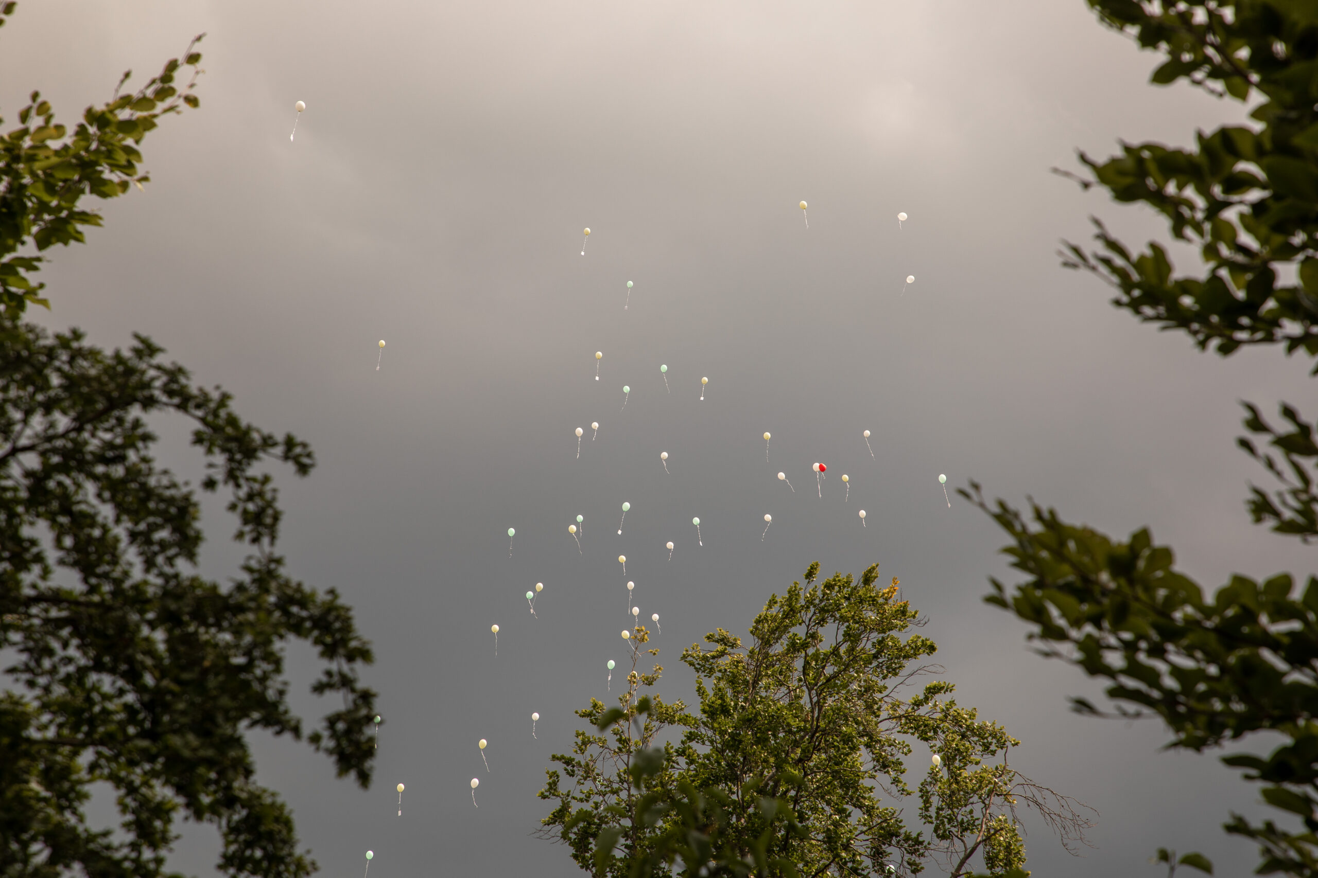 standardbearbeitet-0760 Hochzeitsbilder Hochzeit Sindelfingen